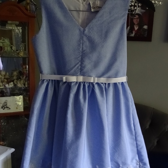 RARE EDITION BLUE AND WHITE CHECK GINGHAM DRESS - Picture 4 of 4